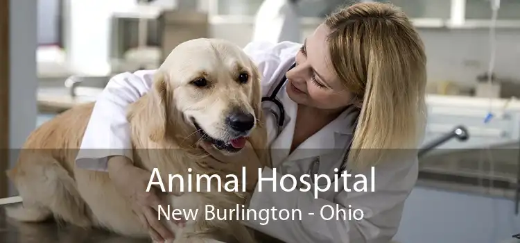 Animal Hospital New Burlington - Ohio