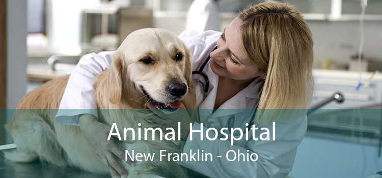 Animal Hospital New Franklin - Ohio