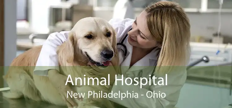 Animal Hospital New Philadelphia - Ohio