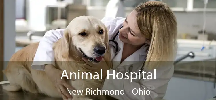 Animal Hospital New Richmond - Ohio