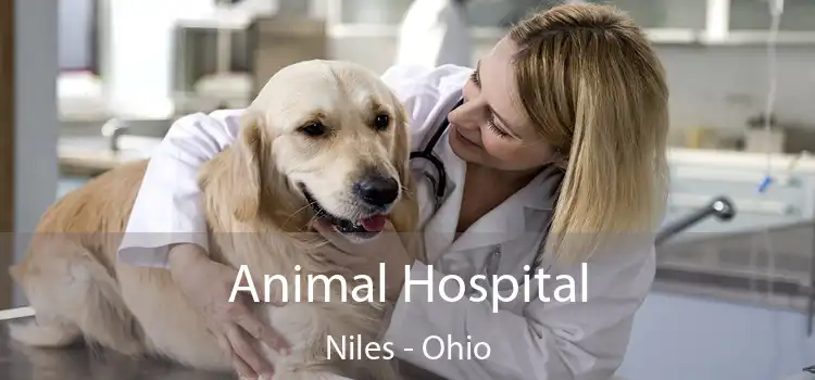 Animal Hospital Niles - Ohio