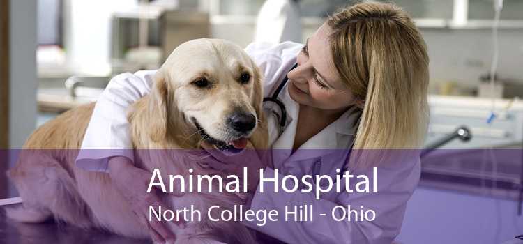 Animal Hospital North College Hill - Ohio