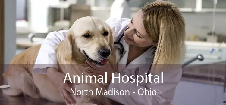 Animal Hospital North Madison - Ohio