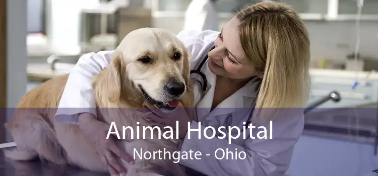 Animal Hospital Northgate - Ohio