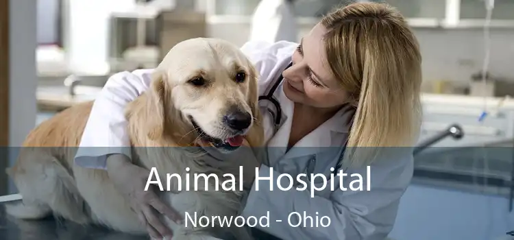 Animal Hospital Norwood - Ohio