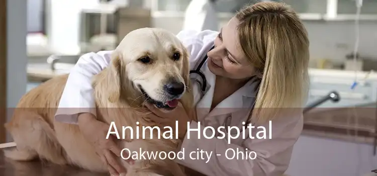 Animal Hospital Oakwood city - Ohio