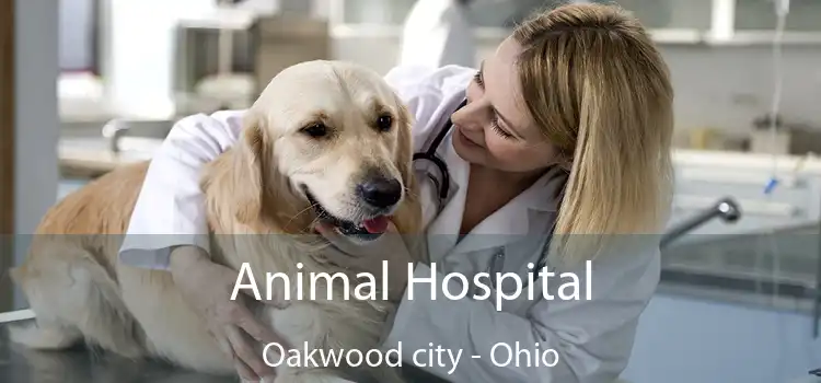 Animal Hospital Oakwood city - Ohio