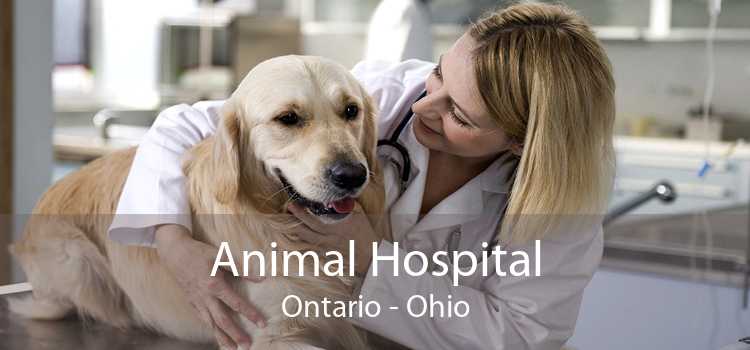 Animal Hospital Ontario - Ohio