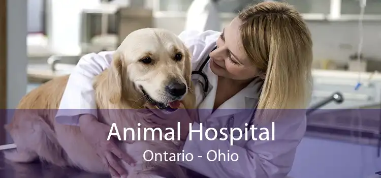 Animal Hospital Ontario - Ohio