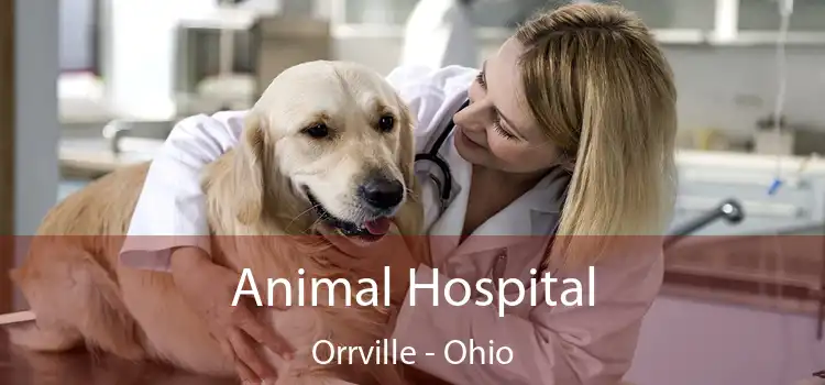 Animal Hospital Orrville - Ohio