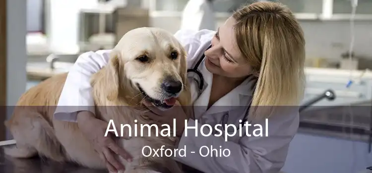 Animal Hospital Oxford - Ohio