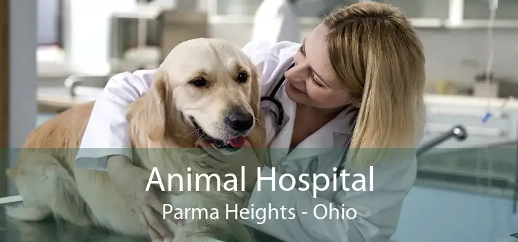 Animal Hospital Parma Heights - Ohio