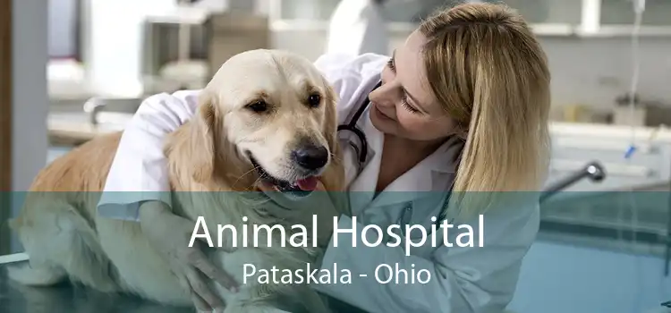 Animal Hospital Pataskala - Ohio