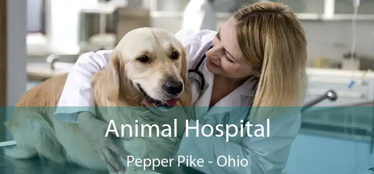 Animal Hospital Pepper Pike - Ohio