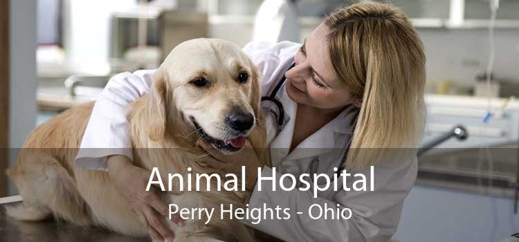 Animal Hospital Perry Heights - Ohio