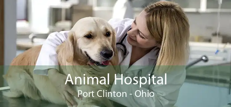 Animal Hospital Port Clinton - Ohio