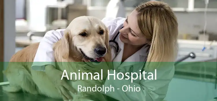 Animal Hospital Randolph - Ohio