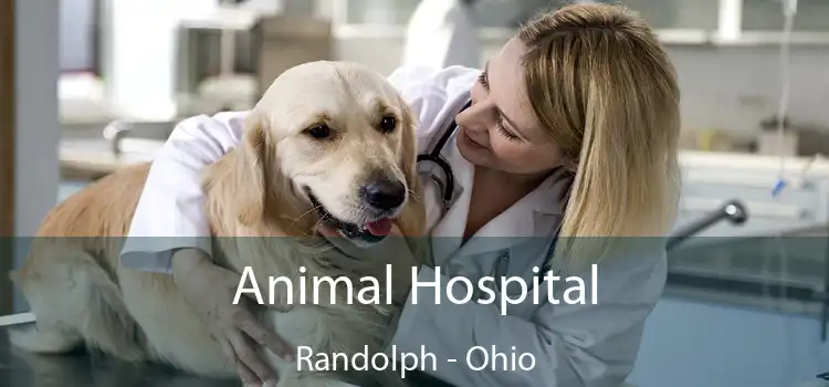 Animal Hospital Randolph - Ohio
