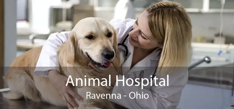 Animal Hospital Ravenna - Ohio