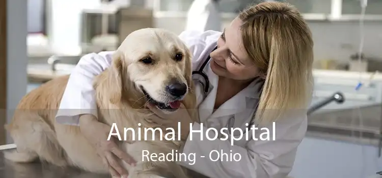 Animal Hospital Reading - Ohio