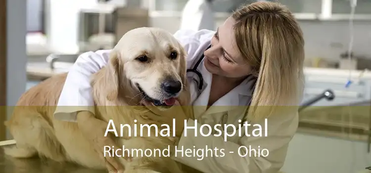 Animal Hospital Richmond Heights - Ohio