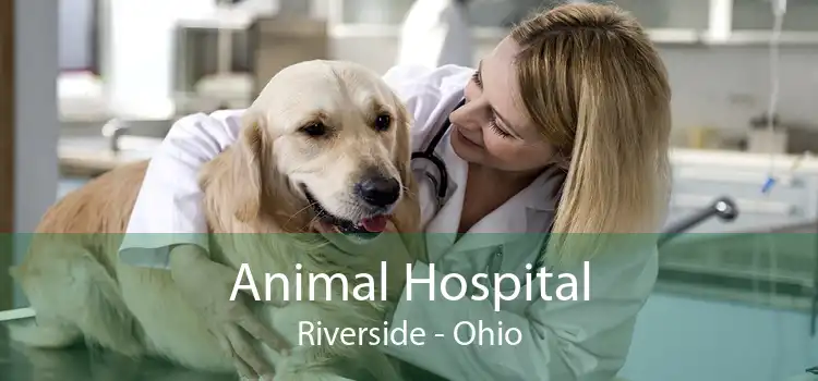 Animal Hospital Riverside - Ohio