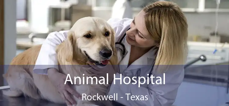 Animal Hospital Rockwell - Texas