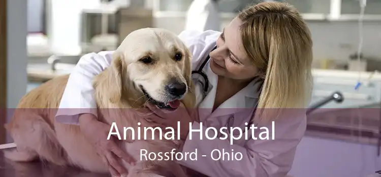 Animal Hospital Rossford - Ohio