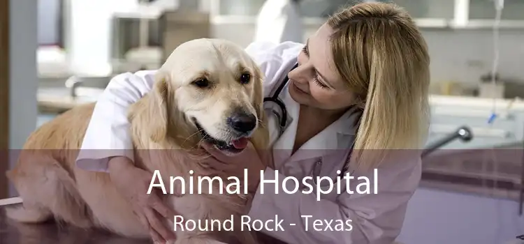 Animal Hospital Round Rock - Texas
