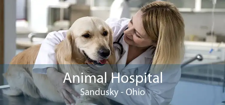Animal Hospital Sandusky - Ohio