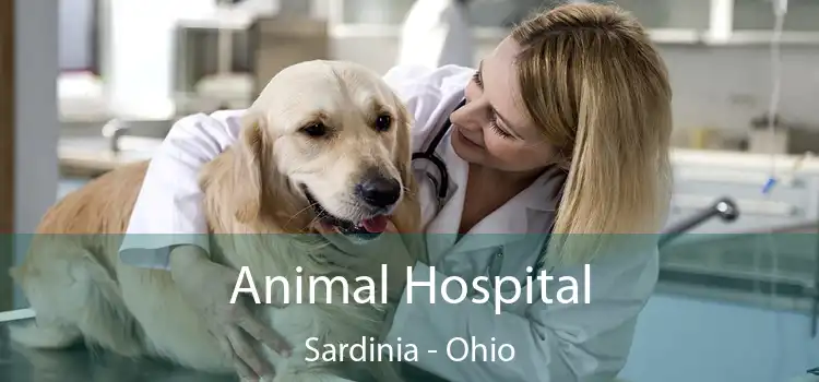 Animal Hospital Sardinia - Ohio