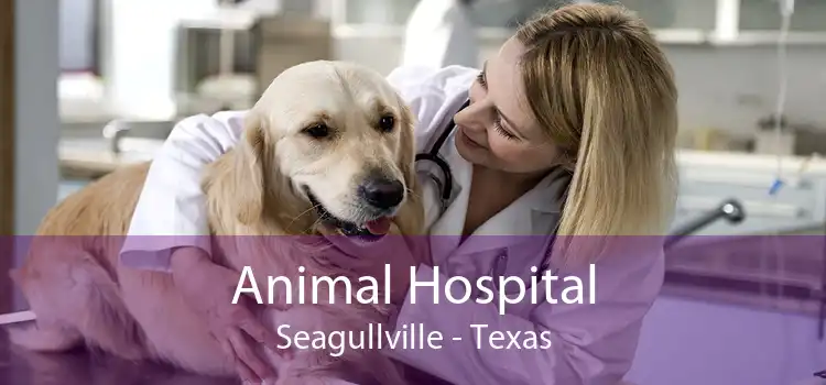 Animal Hospital Seagullville - Texas