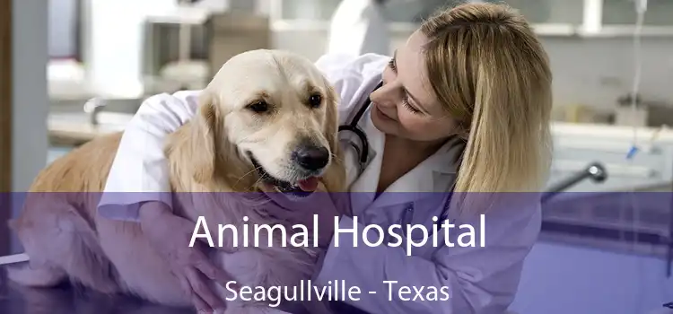 Animal Hospital Seagullville - Texas