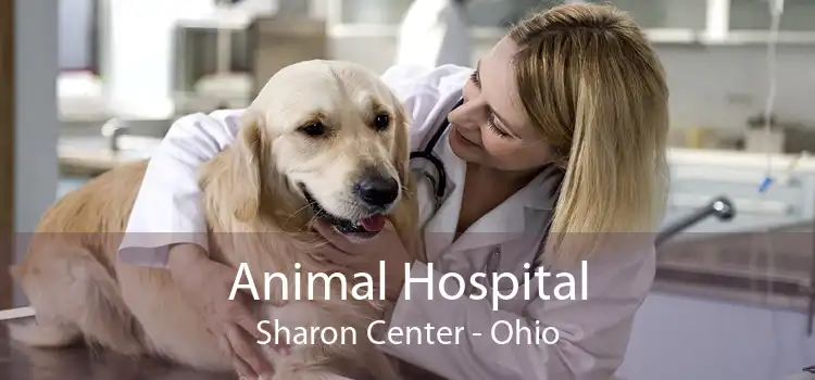 Animal Hospital Sharon Center - Ohio