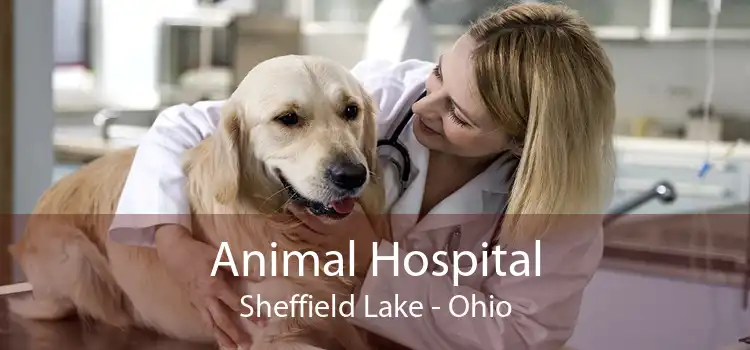 Animal Hospital Sheffield Lake - Ohio