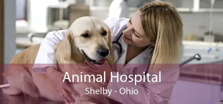 Animal Hospital Shelby - Ohio