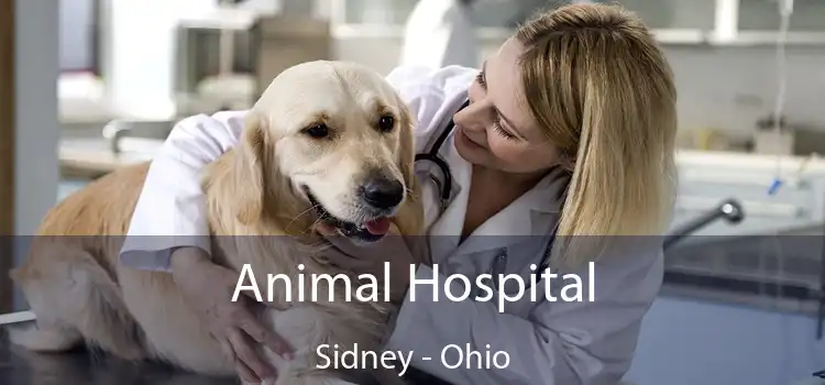 Animal Hospital Sidney - Ohio