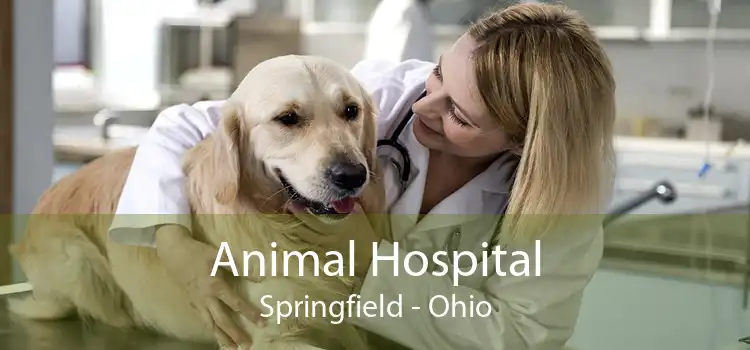 Animal Hospital Springfield - Ohio