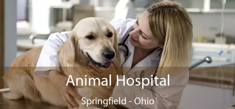 Animal Hospital Springfield - Ohio