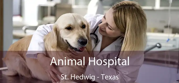 Animal Hospital St. Hedwig - Texas