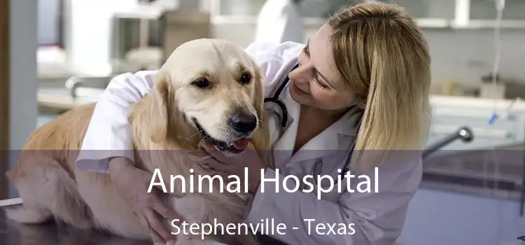 Animal Hospital Stephenville - Texas
