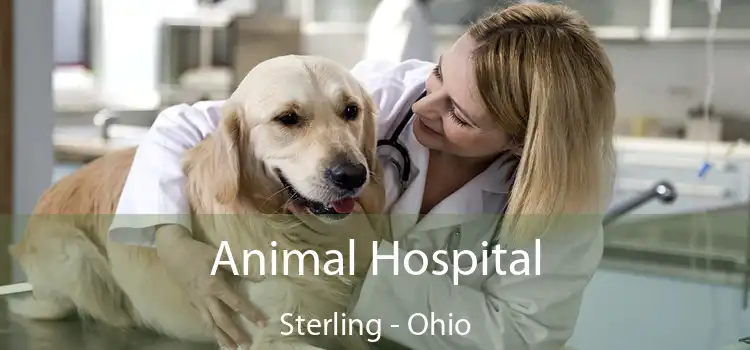 Animal Hospital Sterling - Ohio