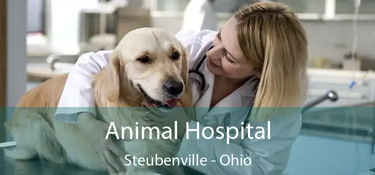 Animal Hospital Steubenville - Ohio