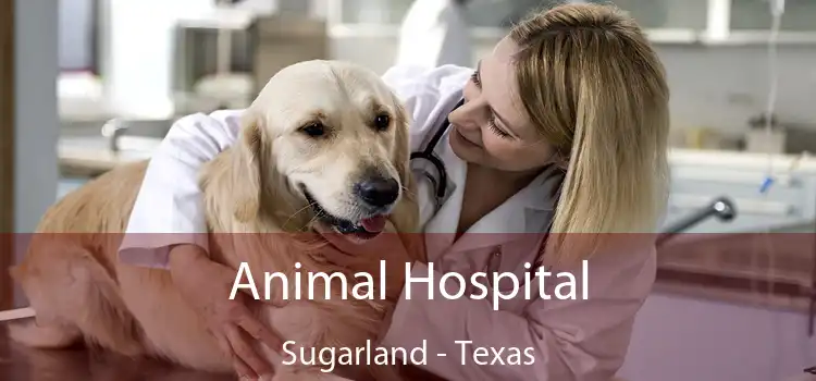 Animal Hospital Sugarland - Texas