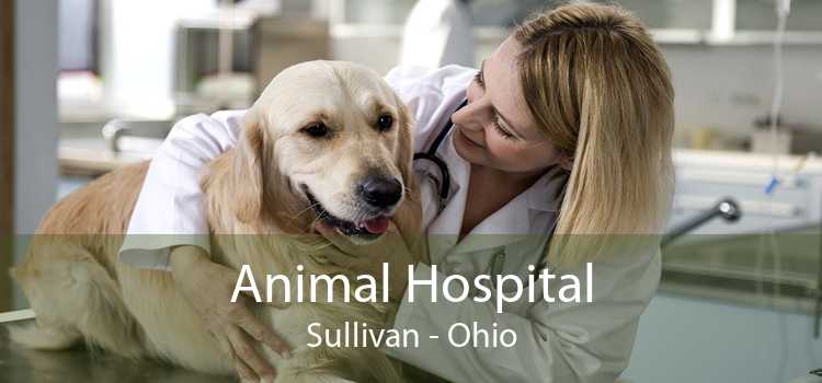 Animal Hospital Sullivan - Ohio