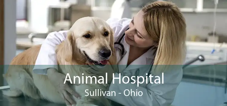 Animal Hospital Sullivan - Ohio