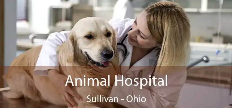 Animal Hospital Sullivan - Ohio