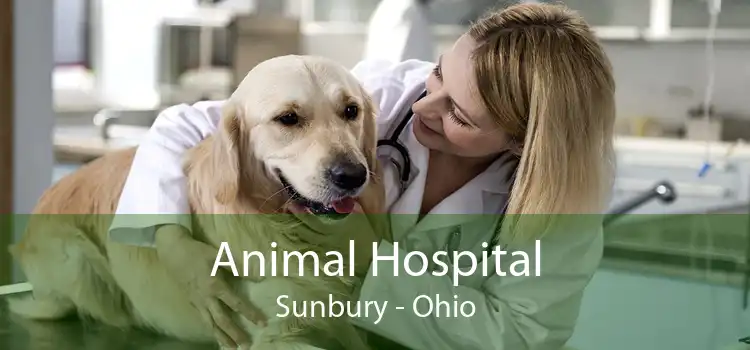 Animal Hospital Sunbury - Ohio