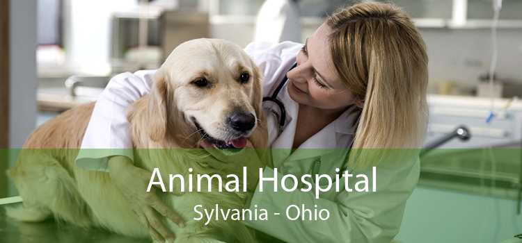 Animal Hospital Sylvania - Ohio