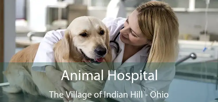 Animal Hospital The Village of Indian Hill - Ohio